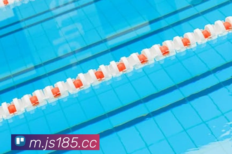 澳门金沙娱乐网址平台生态图